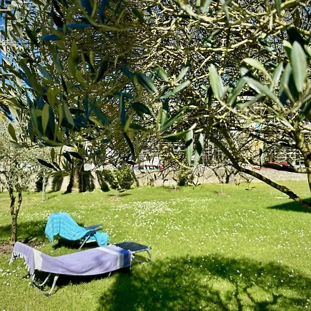 La Esteluca - 6805 * ノハ