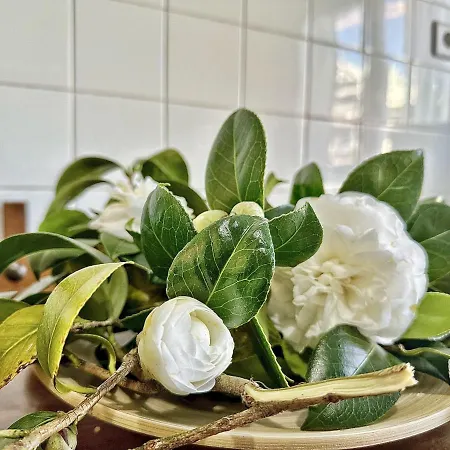 La Esteluca - 6805 アパート *