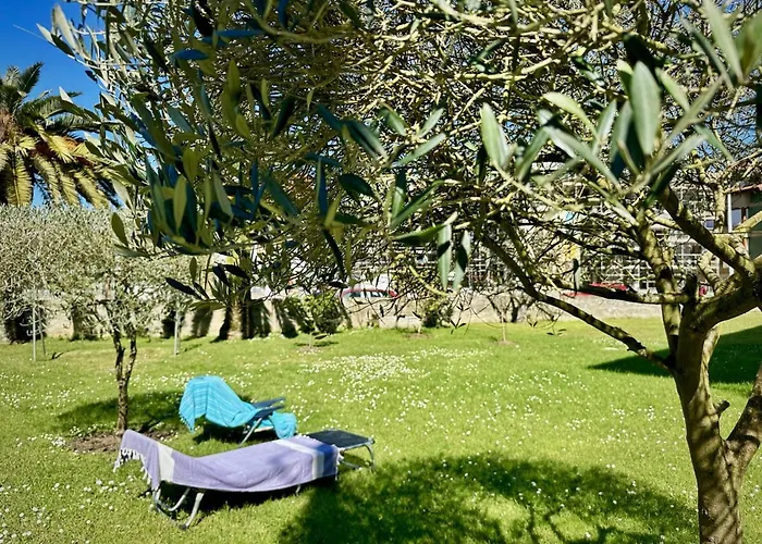 La Esteluca - 6805 * Noja