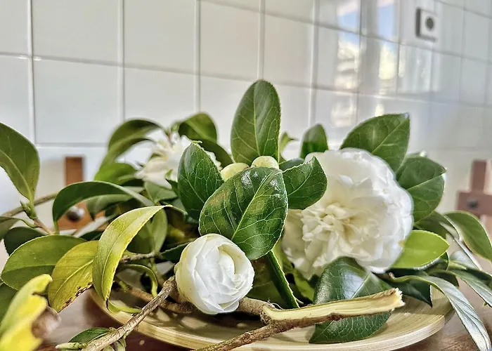 La Esteluca - 6805 Διαμέρισμα *